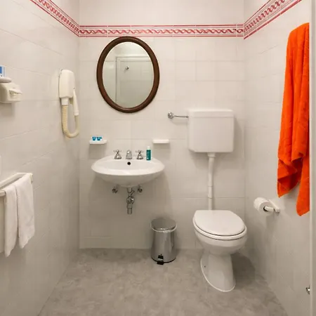 ホテル Milano Helvetia - In Centro Con Piscina 3*