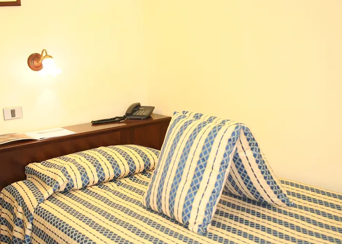 酒店 Milano Helvetia - In Centro Con Piscina 3*